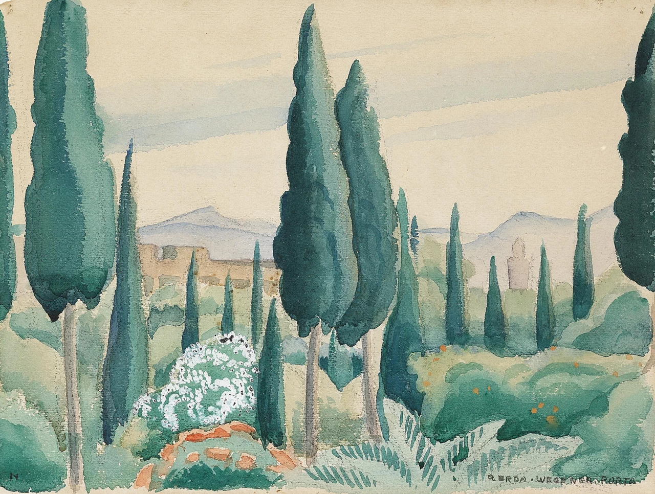 Veduta del paesaggio marocchino, in primo piano i pini